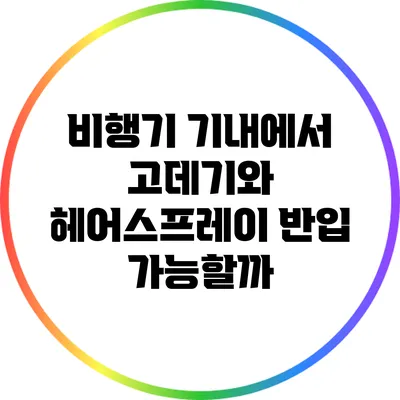비행기 기내에서 고데기와 헤어스프레이 반입 가능할까?