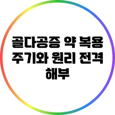 골다공증 약 복용 주기와 원리 전격 해부