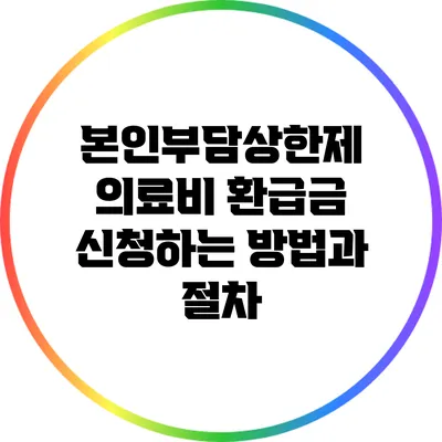 본인부담상한제 의료비 환급금 신청하는 방법과 절차