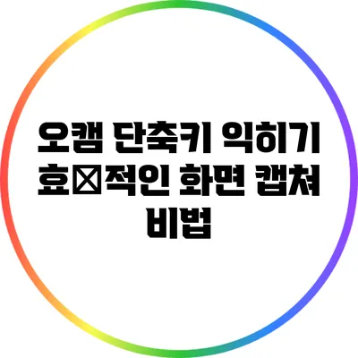 오캠 단축키 익히기: 효率적인 화면 캡쳐 비법