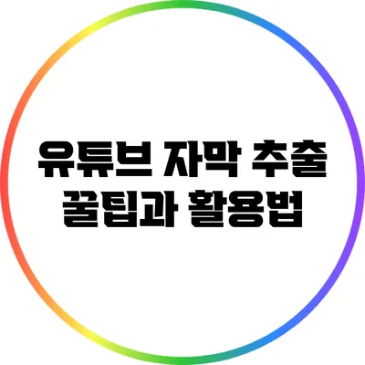 유튜브 자막 추출 꿀팁과 활용법