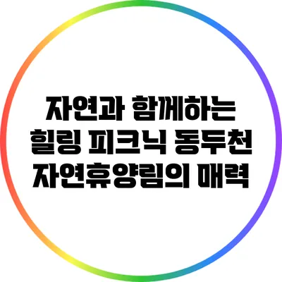 자연과 함께하는 힐링 피크닉: 동두천 자연휴양림의 매력