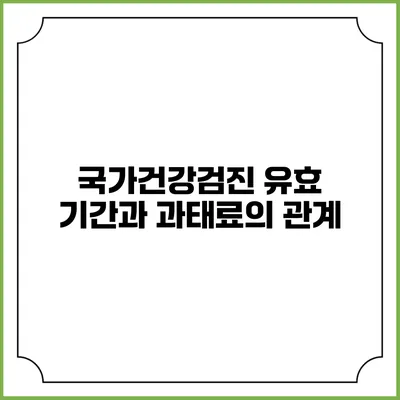 국가건강검진 유효 기간과 과태료의 관계