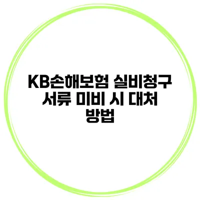 KB손해보험 실비청구 서류 미비 시 대처 방법