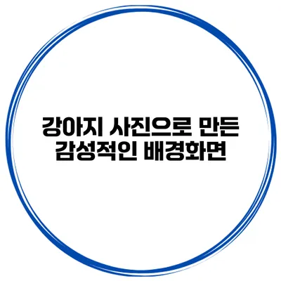 강아지 사진으로 만든 감성적인 배경화면