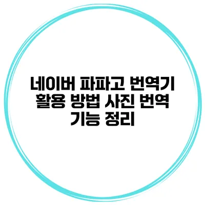 네이버 파파고 번역기 활용 방법 사진 번역 기능 정리
