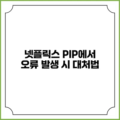 넷플릭스 PIP에서 오류 발생 시 대처법