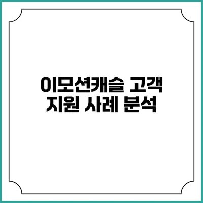 이모션캐슬 고객 지원 사례 분석