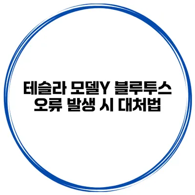 테슬라 모델Y 블루투스 오류 발생 시 대처법