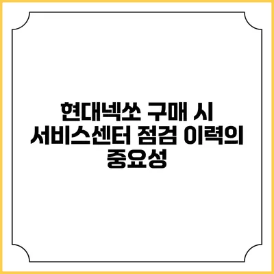 현대넥쏘 구매 시 서비스센터 점검 이력의 중요성
